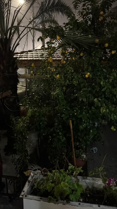 مشاركاتي في أنت الراصد