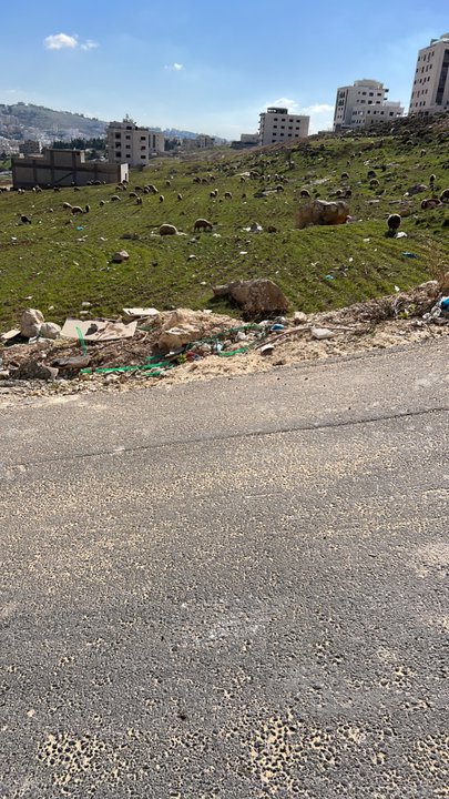 مشاركاتي في أنت الراصد