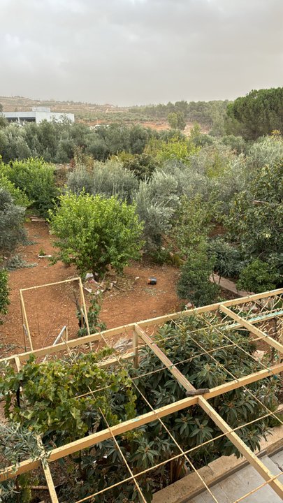 مشاركاتي في أنت الراصد