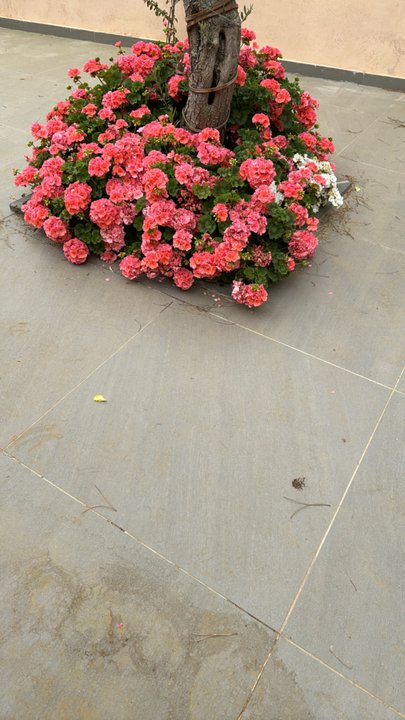 My Crowdsourcing Posts