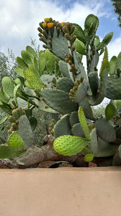 My Crowdsourcing Posts