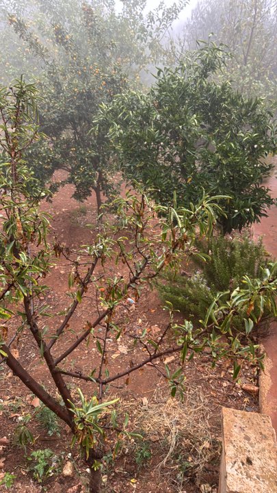 مشاركاتي في أنت الراصد