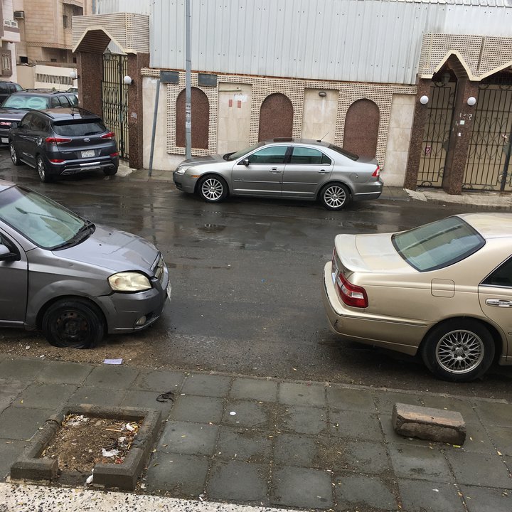 مشاركاتي في أنت الراصد