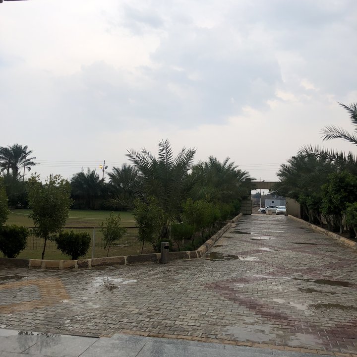 مشاركاتي في أنت الراصد