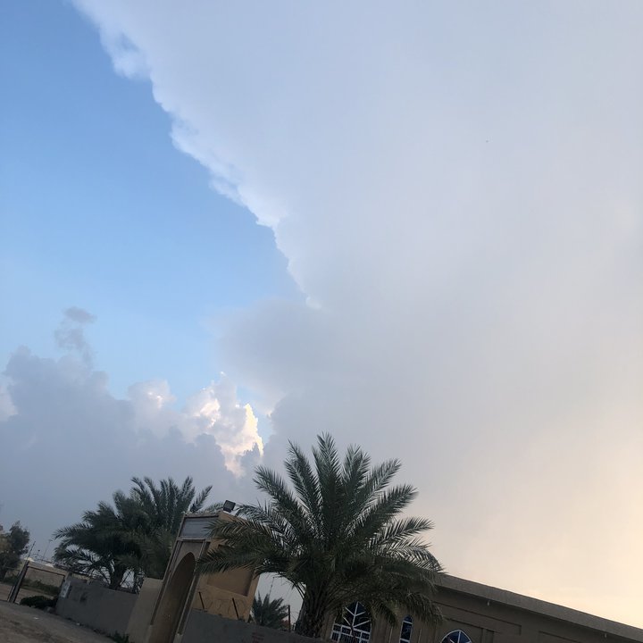 مشاركاتي في أنت الراصد