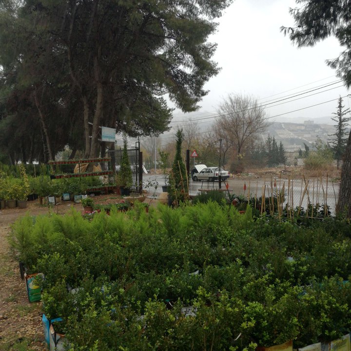 My Crowdsourcing Posts