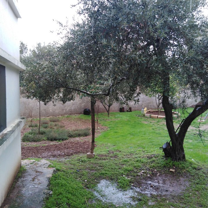 My Crowdsourcing Posts