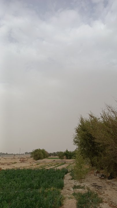 مشاركاتي في أنت الراصد