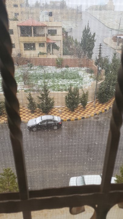 مشاركاتي في أنت الراصد