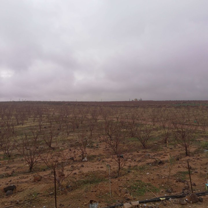 My Crowdsourcing Posts