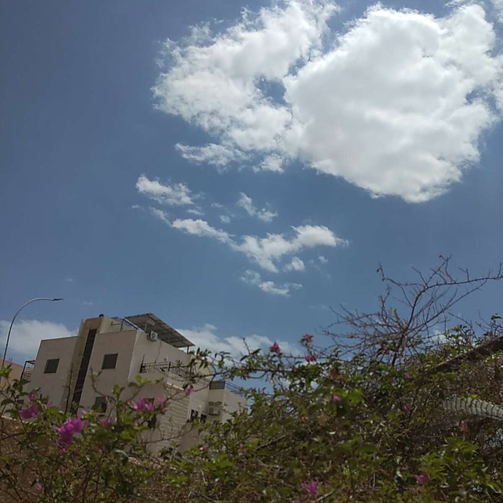 مشاركاتي في أنت الراصد