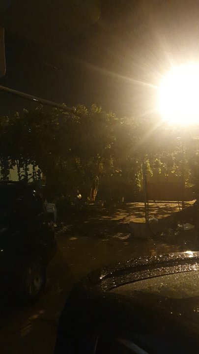 مشاركاتي في أنت الراصد