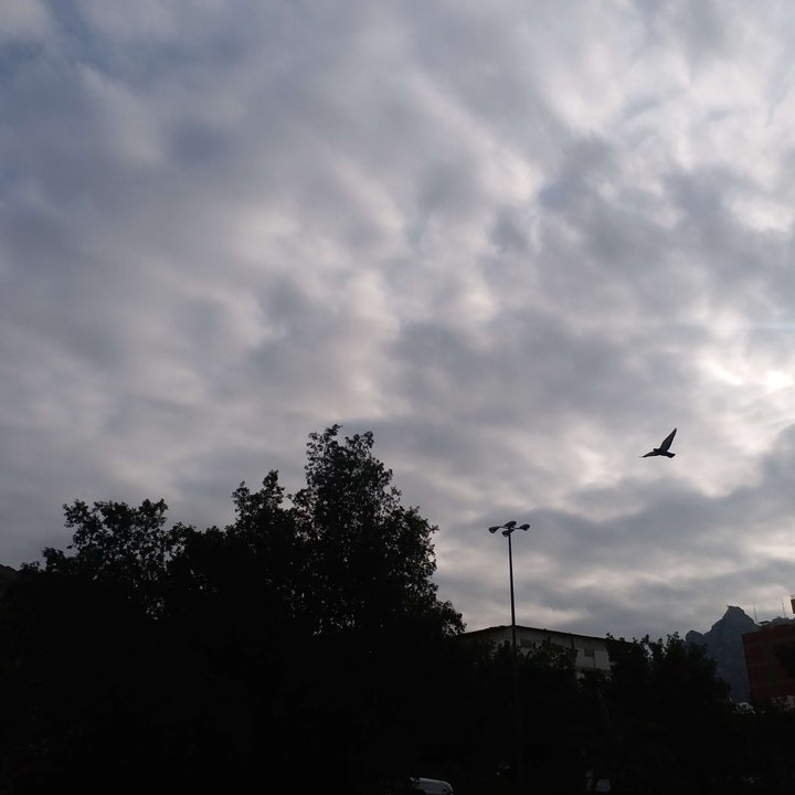 مشاركاتي في أنت الراصد