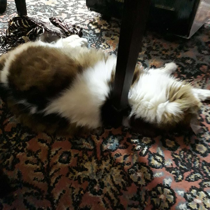 My Crowdsourcing Posts