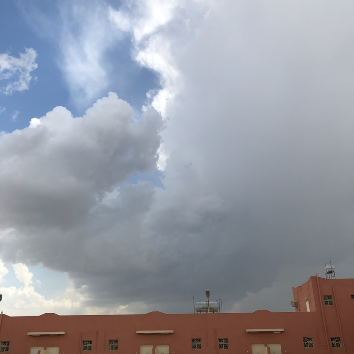 مشاركاتي في أنت الراصد