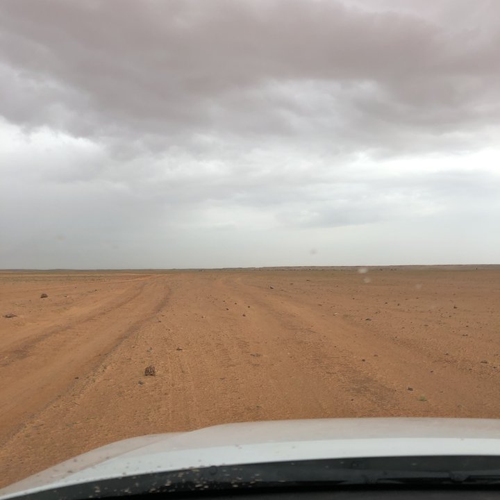 مشاركاتي في أنت الراصد