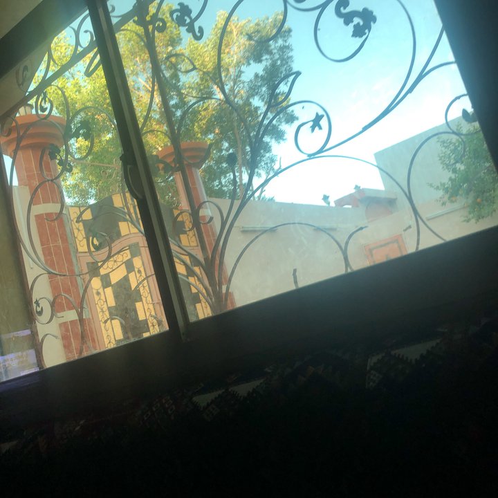 مشاركاتي في أنت الراصد