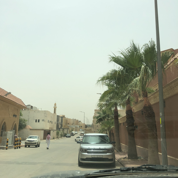 مشاركاتي في أنت الراصد