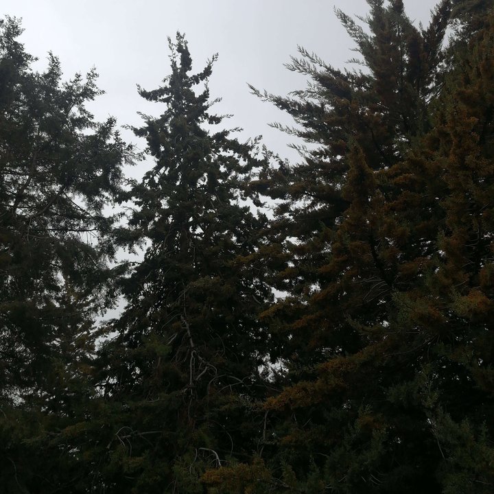 My Crowdsourcing Posts