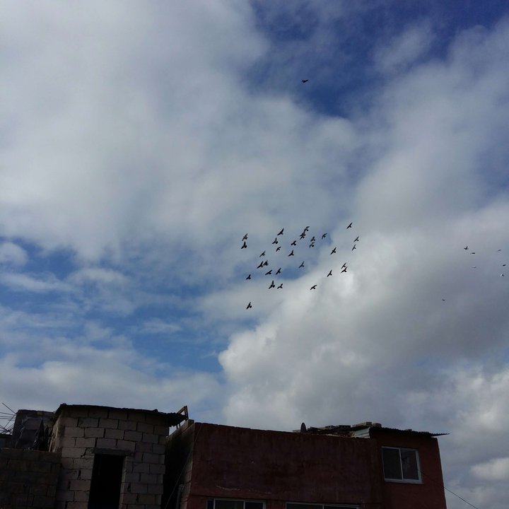 My Crowdsourcing Posts