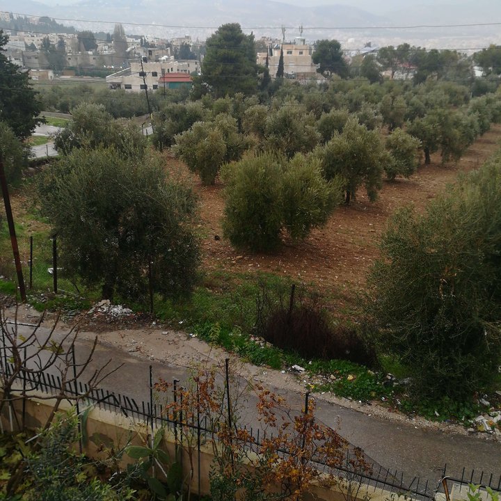 My Crowdsourcing Posts