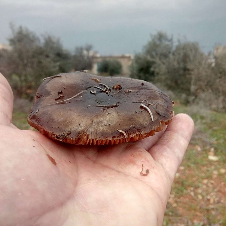 My Crowdsourcing Posts