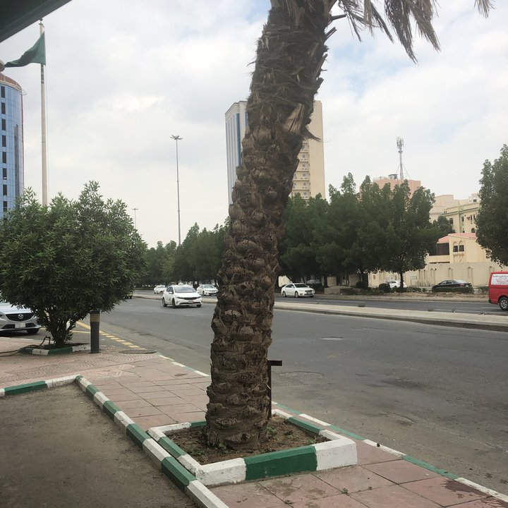 مشاركاتي في أنت الراصد