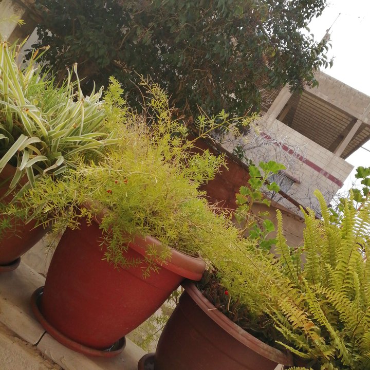 My Crowdsourcing Posts