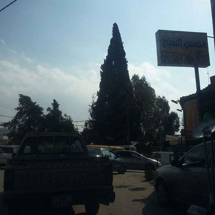 My Crowdsourcing Posts