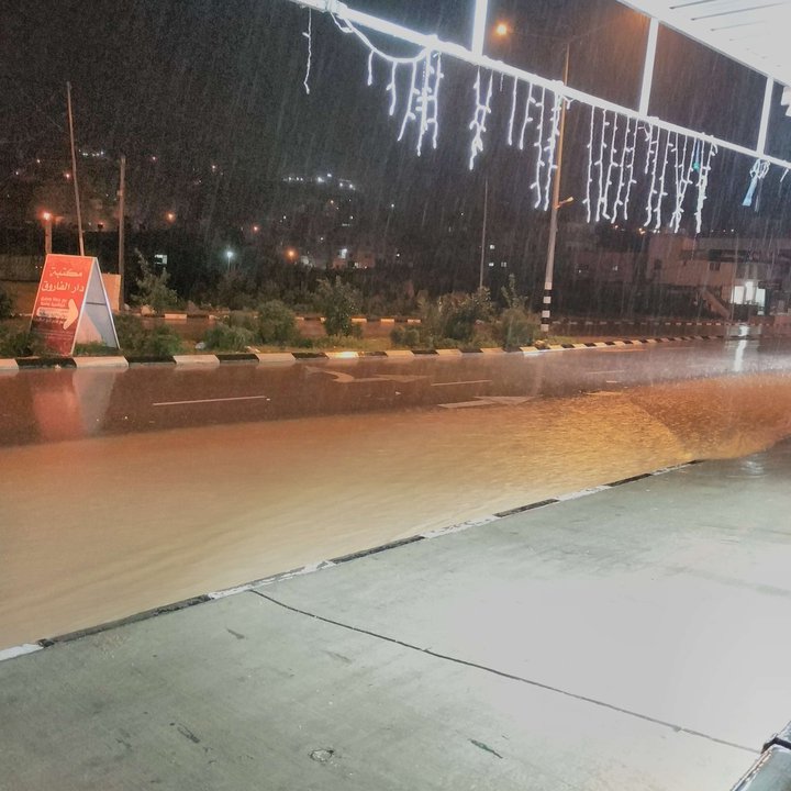 مشاركاتي في أنت الراصد