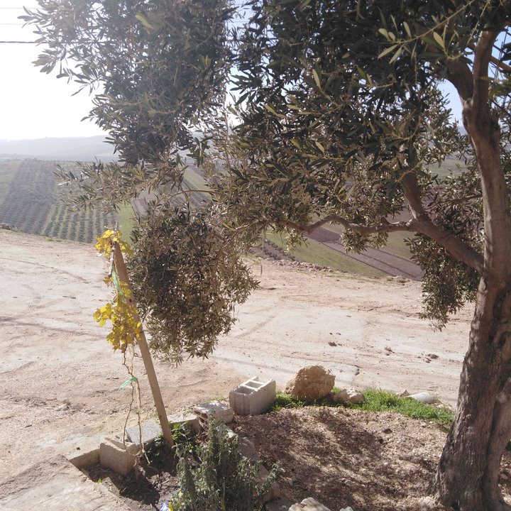 My Crowdsourcing Posts