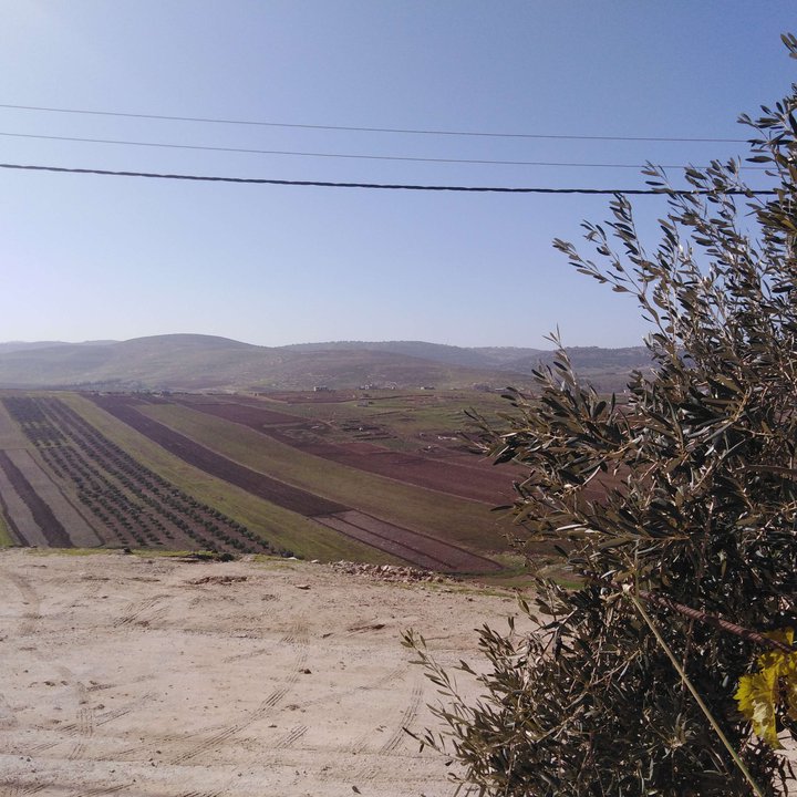 My Crowdsourcing Posts