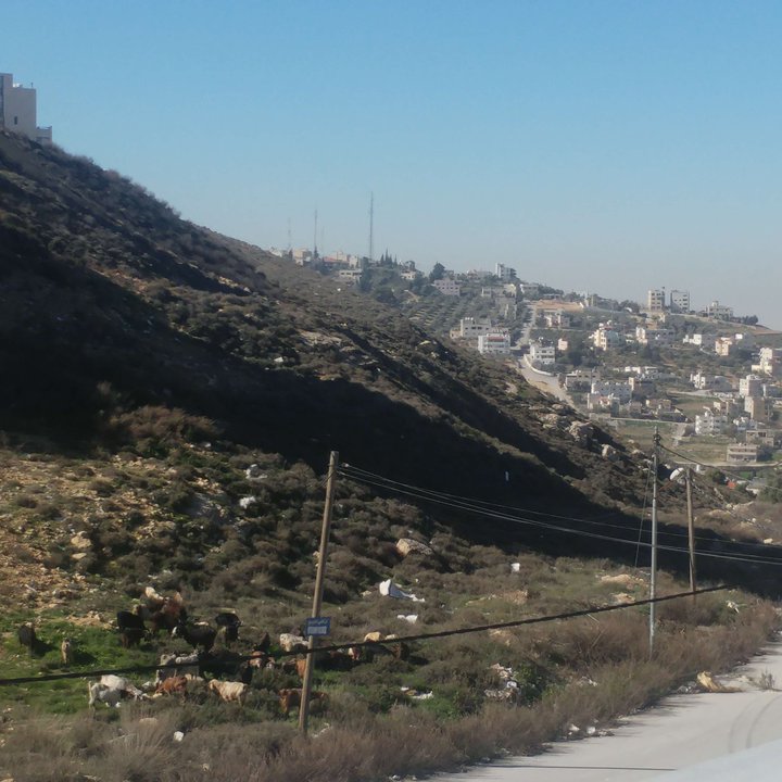 My Crowdsourcing Posts