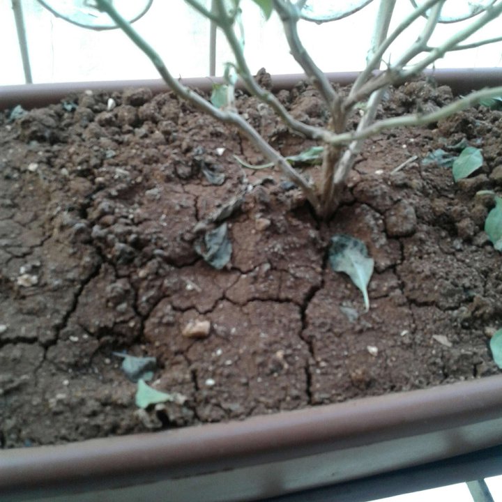 My Crowdsourcing Posts