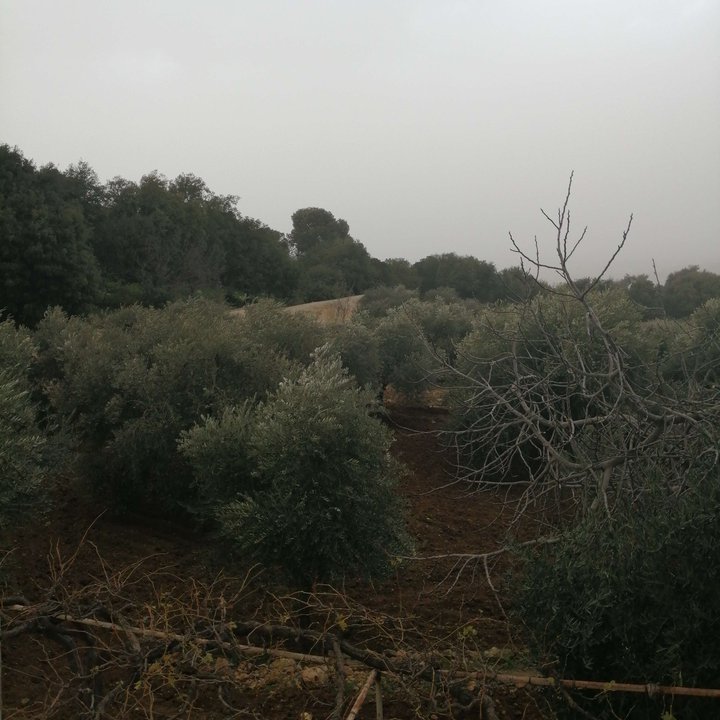 My Crowdsourcing Posts