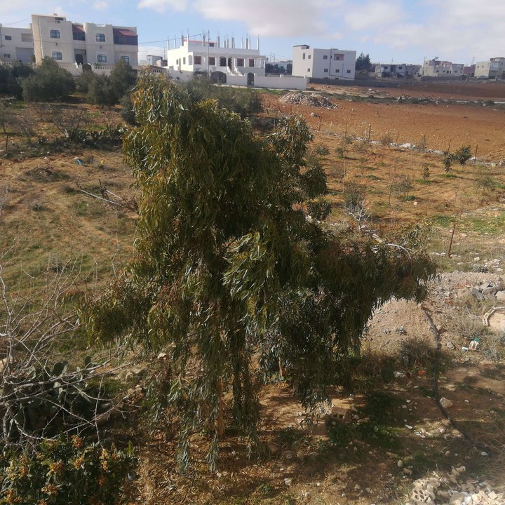 My Crowdsourcing Posts