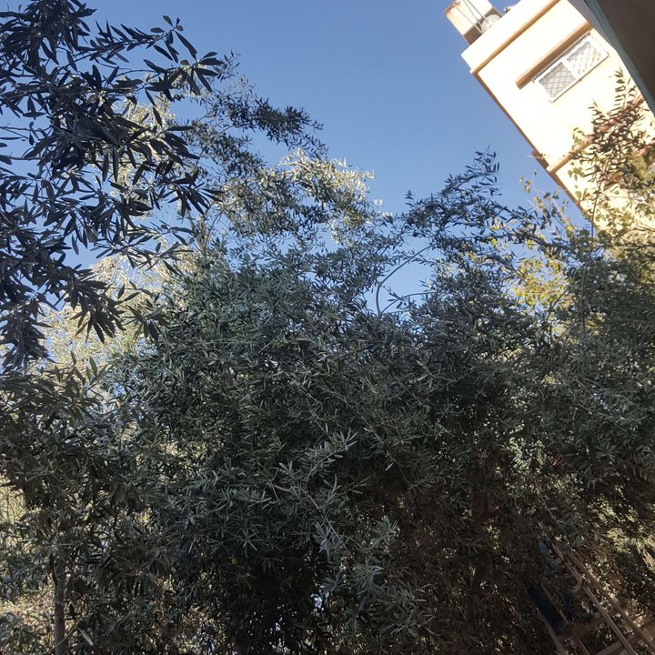 My Crowdsourcing Posts