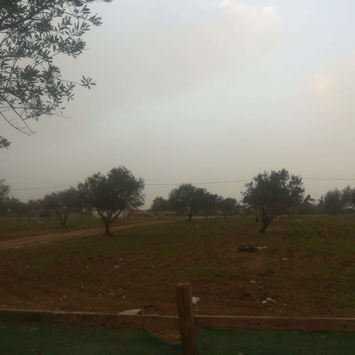 My Crowdsourcing Posts