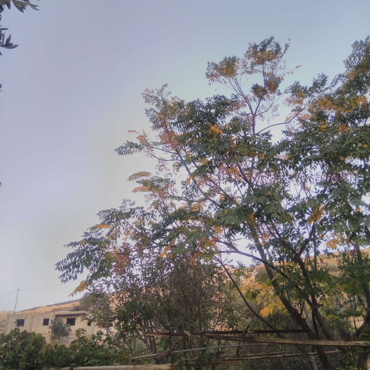 My Crowdsourcing Posts