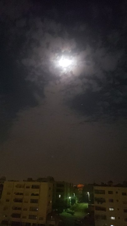 مشاركاتي في أنت الراصد