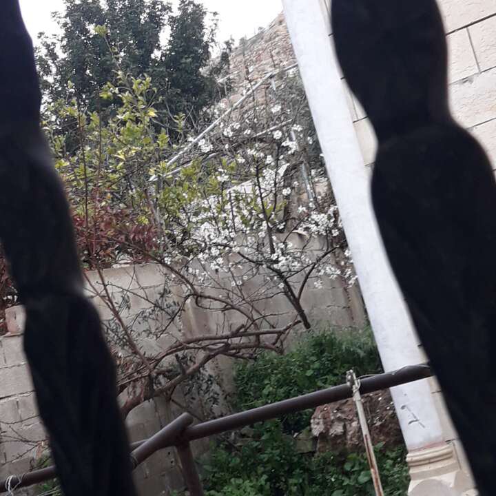 Mes publications Crowdsourcing