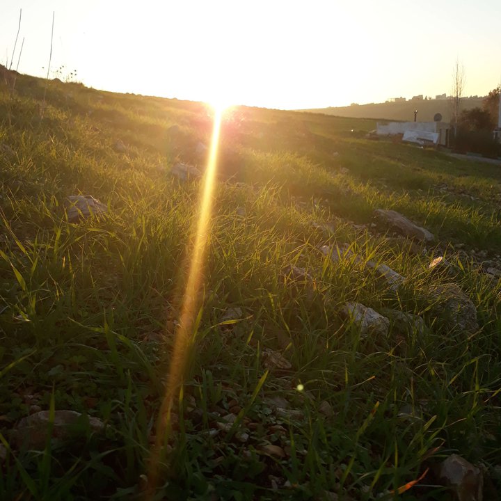 My Crowdsourcing Posts