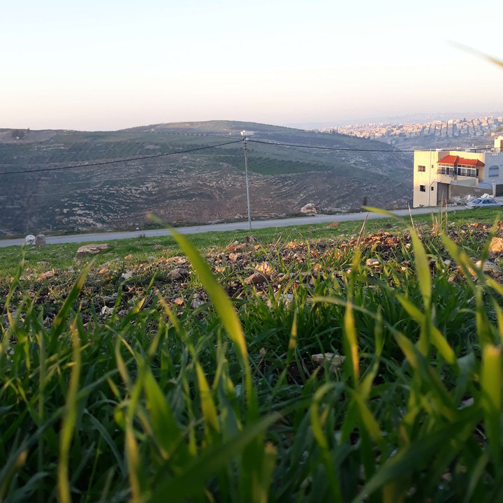 My Crowdsourcing Posts