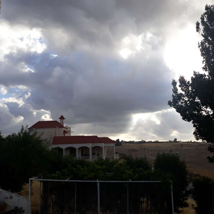 مشاركاتي في أنت الراصد