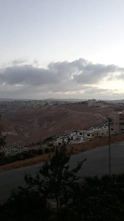 مشاركاتي في أنت الراصد