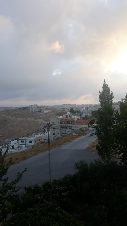 مشاركاتي في أنت الراصد