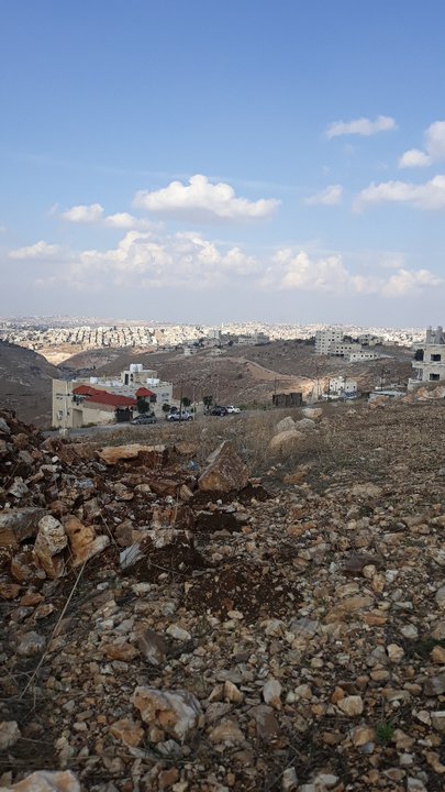 مشاركاتي في أنت الراصد