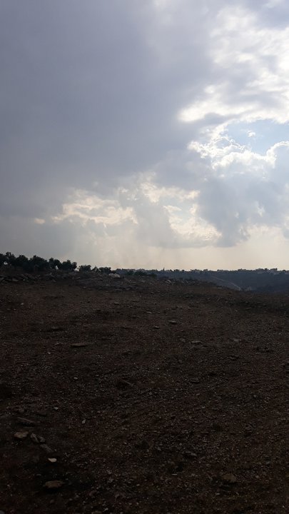 مشاركاتي في أنت الراصد