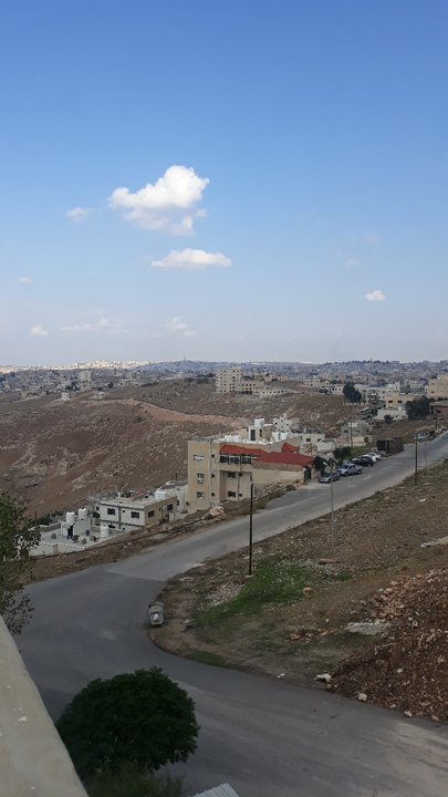 مشاركاتي في أنت الراصد