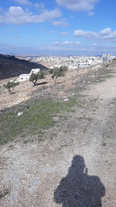 مشاركاتي في أنت الراصد